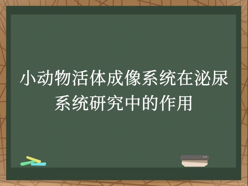 小动物活体成像系统在泌尿系统研究中的作用